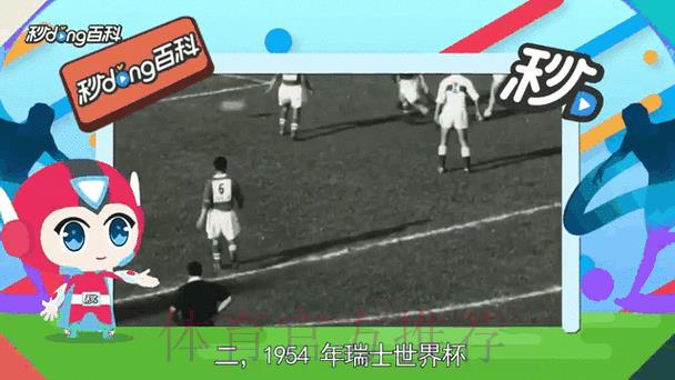 世界杯比分平台实时动态全方位深度解读 世界杯比分平台实时动态全方位深度解读